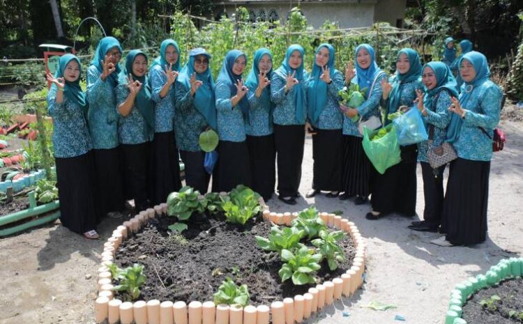  Ketua TP PKK Asahan Pinta Warga Manfaatkan Pekarangan Rumah Saat Monitoring Lomba HKG
