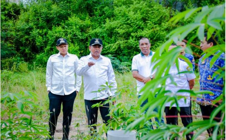  Bupati dan Wabup Sergai Tinjau Lokasi Pembangunan Pasar Hewan di Sei Rampah