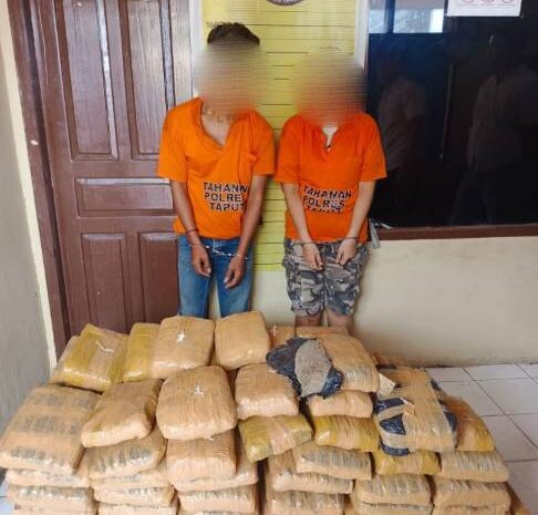  Gara-Gara Mobilnya Kecelakaan di Siborongborong, Sepasang Kurir Ganja Ketangkap