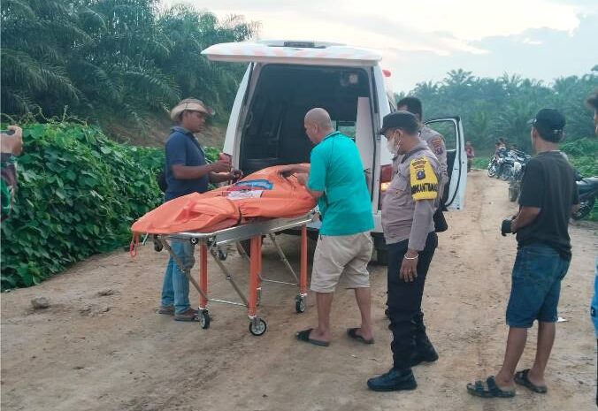  Jasad Hermin Lasih Silalahi Ditemukan Membusuk di Parit Perkebunan Sawit