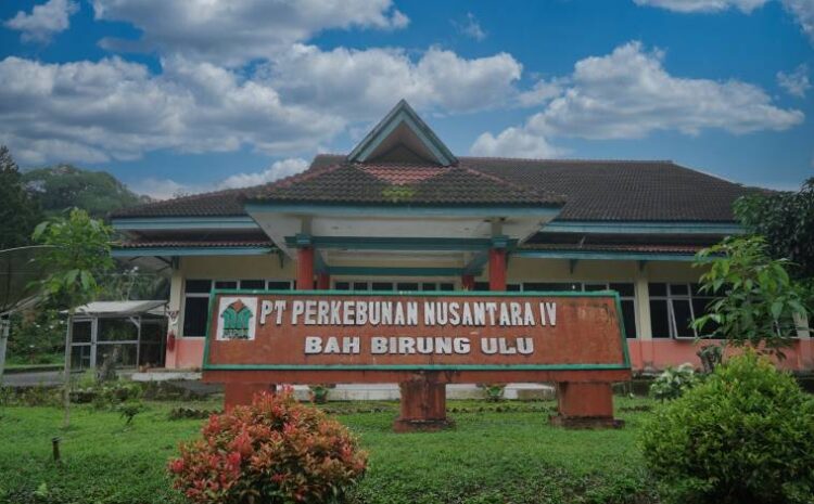 Produksi Tumbuh Dua Digit, Kebun Bah Birung Ulu Perkuat Transformasi dan Pemberdayaan Masyarakat