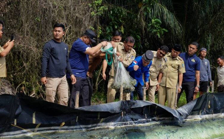  Anak Muda Batu Bara Sukses Budidaya Udang Vaname, Bupati Apresiasi