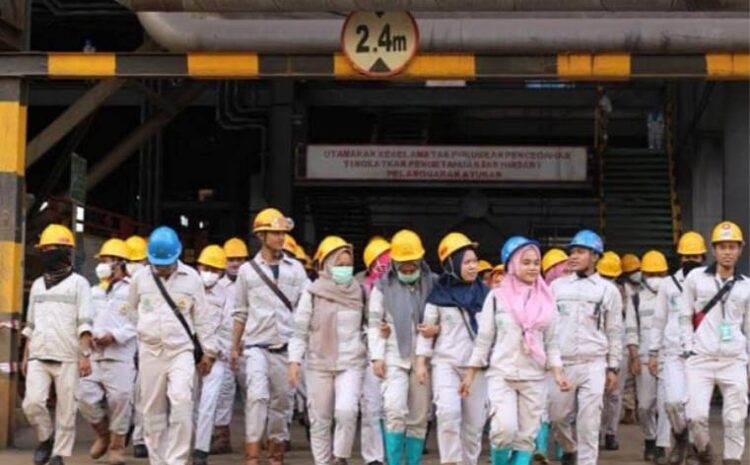  PT IMIP Serap Tenaga Kerja Hingga 97.427 Karyawan, Ekonomi Sulteng Meningkat