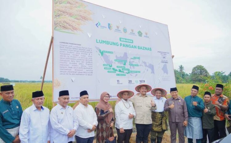  Bupati Baharuddin: Batu Bara Berpotensi Surplus Beras, Lahan 20 Ribu Hektare Dioptimalkan
