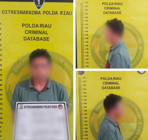  Gudang Narkoba Dibongkar, Polda Riau Buru Otak Jaringan dan Kejar Aset Lewat TPPU