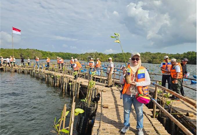 Hari Mangrove Sedunia, IMIP Dukung Penanaman 1 Juta Mangrove di 37 Provinsi