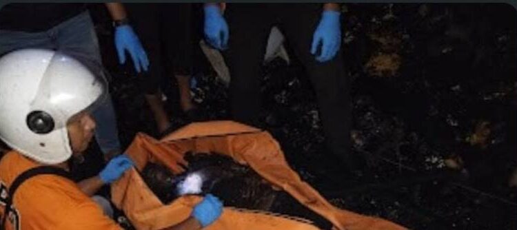  Dipicu Pertengkaran dan Alkohol, Kebakaran Hanguskan Ruko di Desa Simpang Gambus