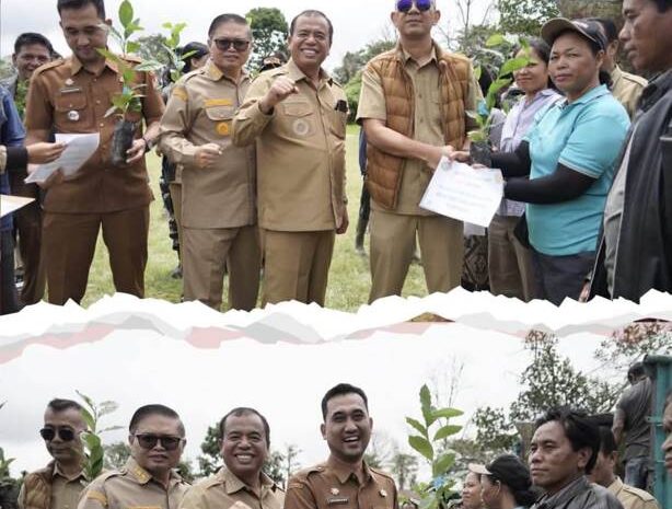  Bupati Karo, Serahkan 1,2 Juta Benih Kopi Arabika Unggulan Untuk Dorong Komoditas 259 Kelompok Tani