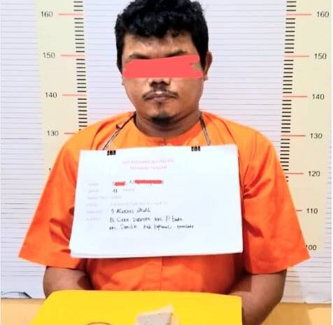  Pengedar Ganja Ditangkap di Batu Mardinding Tapteng