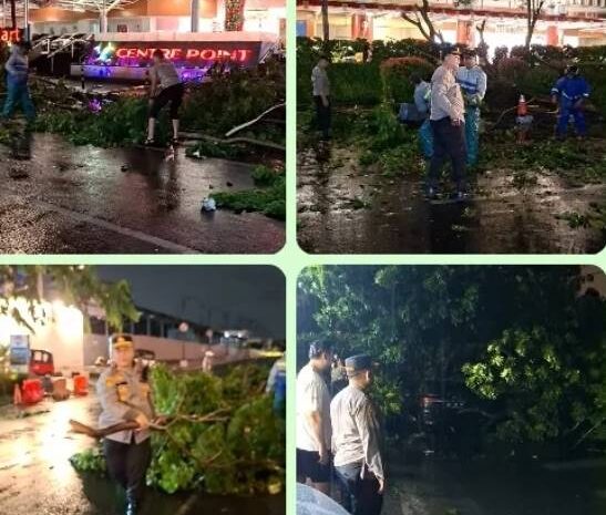  Hujan Deras dan Angin Kencang Terpa Medan Timur, 5 Unit Mobil Ringsek Tertimpa Pohon Tumbang