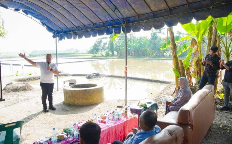  Ikuti Tanam Serempak 50.000 Ha, Bupati Baharuddin: Petani Batu Bara Harus Sejahtera