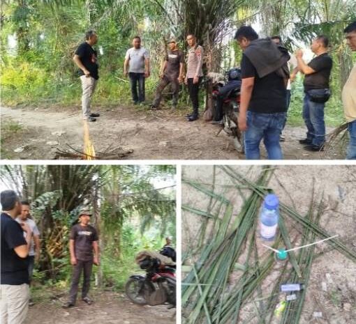  Diduga Jadi Sarang Narkoba, Lokasi di Ladang Sawit Desa Pulau Tagor Digerebek