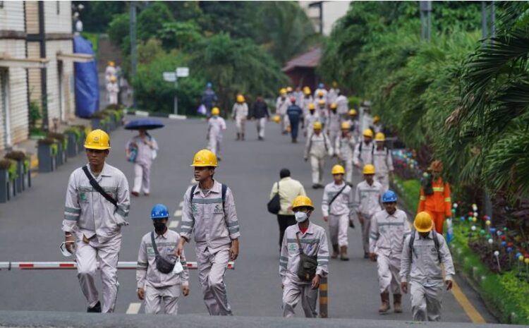  IMIP Serap 98.266 Tenaga Kerja, Pengangguran di Morowali Menurun